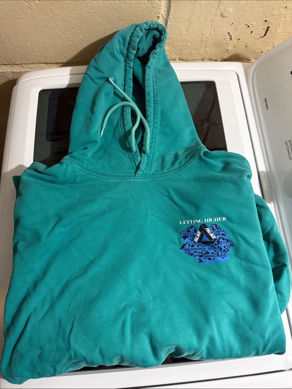 PALACE Teal Hooded Kids Swim Coverup with Chest Graphic